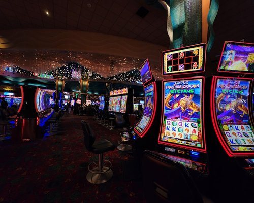 The Future of Social Online Casinos in New Zealand